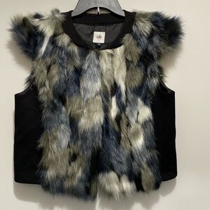 Cabi Frosty Vest